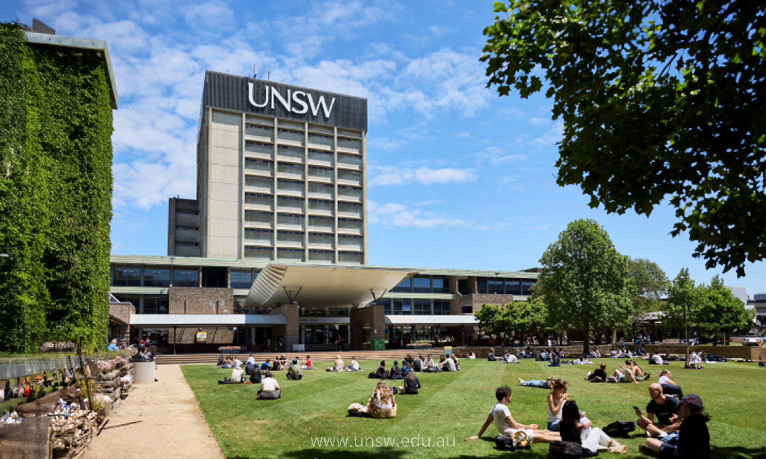 Students are sitting around and chatting at The University of New South Wales