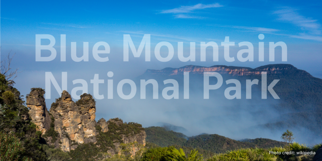 Blue Mountains National Park in New South Wales presents a view from the mountain with fog.